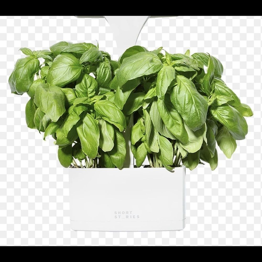 LED indoor light planter 🍸 - Picture 4 of 4